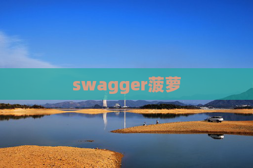 swagger菠萝
